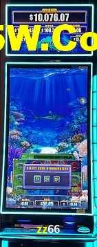 Live Casino zz66